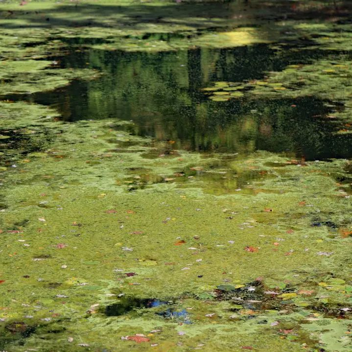 Z6¡¤×ðÁú¡¸Öйú¡¹¹Ù·½ÍøÕ¾