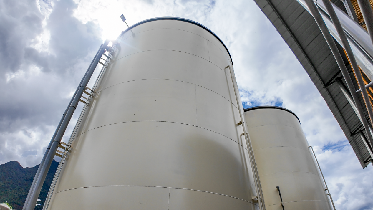 Z6¡¤×ðÁú¡¸Öйú¡¹¹Ù·½ÍøÕ¾